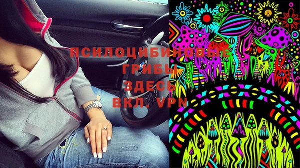 герыч Дмитровск