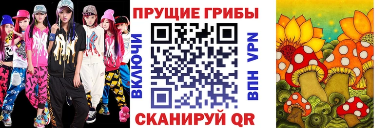Псилоцибиновые грибы Psilocybine cubensis  гидра tor  Оса 